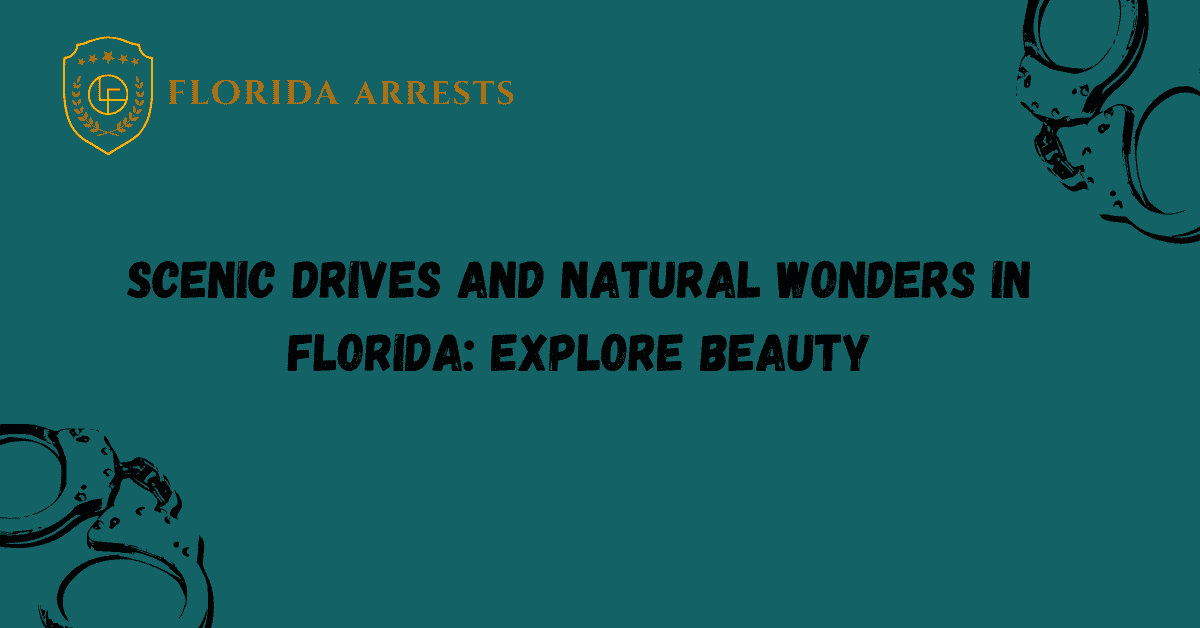 Scenic Drives and Natural Wonders in Florida: Explore Beauty