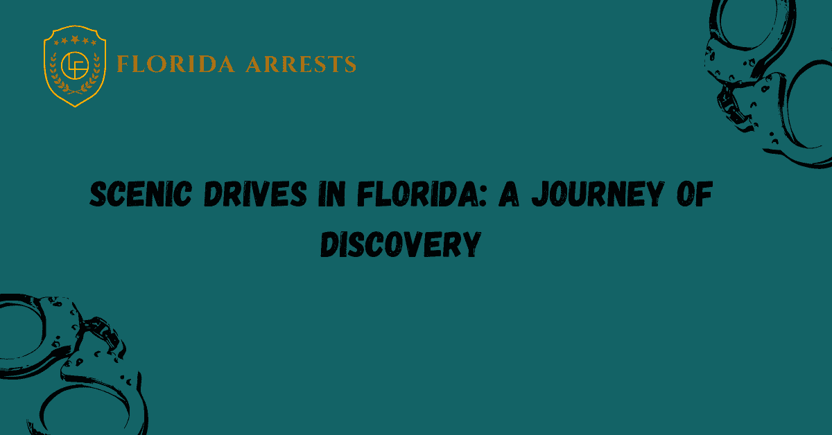 Scenic Drives in Florida: A Journey of Discovery